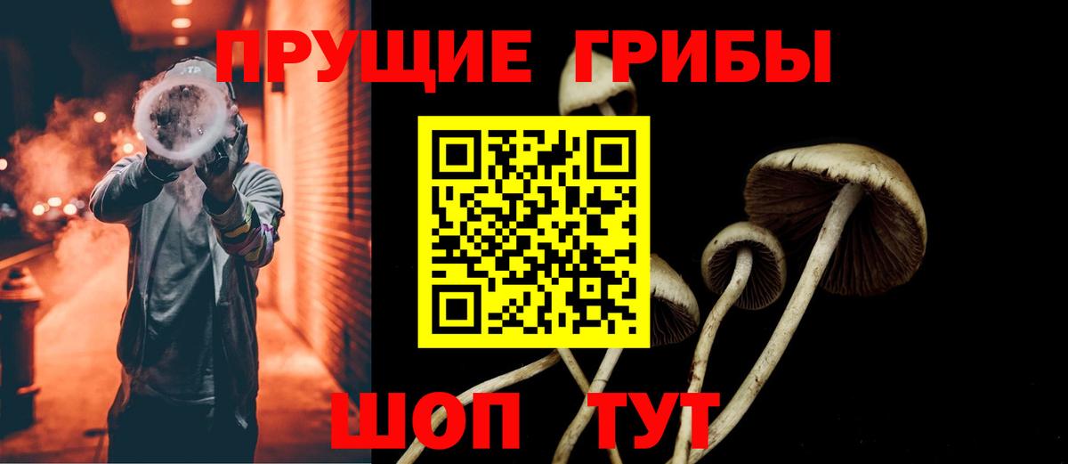 Орёл  продажа наркотиков  Псилоцибиновые грибы GOLDEN TEACHER  Вход с VPN  Галлюциногенные грибы Psilocybe 